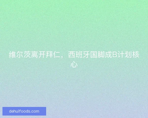 维尔茨离开拜仁,西班牙国脚成B计划核心 维尔茨离开拜仁,西班牙国脚成B计划核心