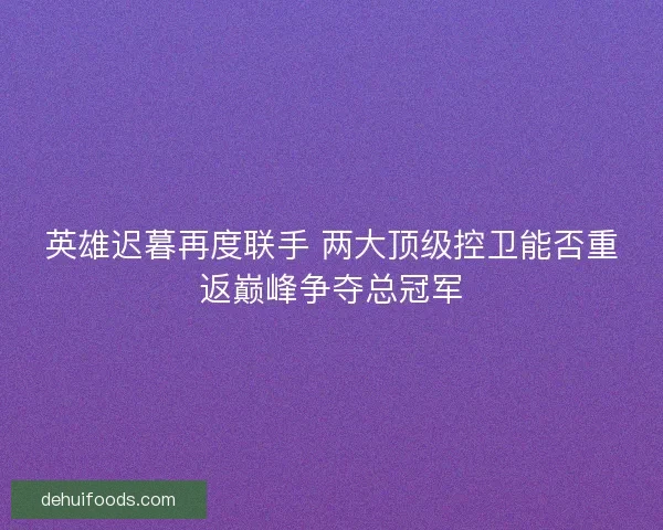 英雄迟暮再度联手 两大顶级控卫能否重返巅峰争夺总冠军