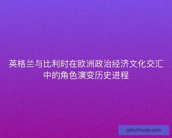 英格兰与比利时在欧洲政治经济文化交汇中的角色演变历史进程