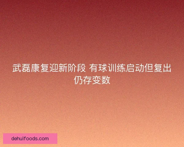武磊康复迎新阶段 有球训练启动但复出仍存变数