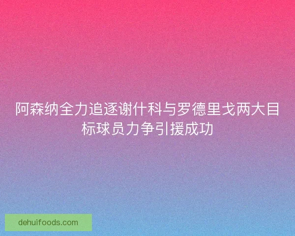 阿森纳全力追逐谢什科与罗德里戈两大目标球员力争引援成功 阿森纳全力追逐谢什科与罗德里戈两大目标球员力争引援成功