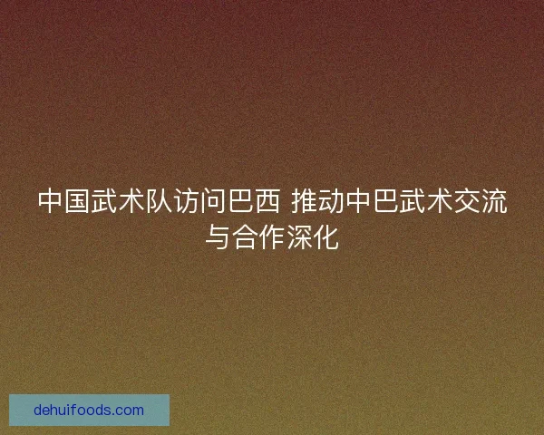 中国武术队访问巴西 推动中巴武术交流与合作深化