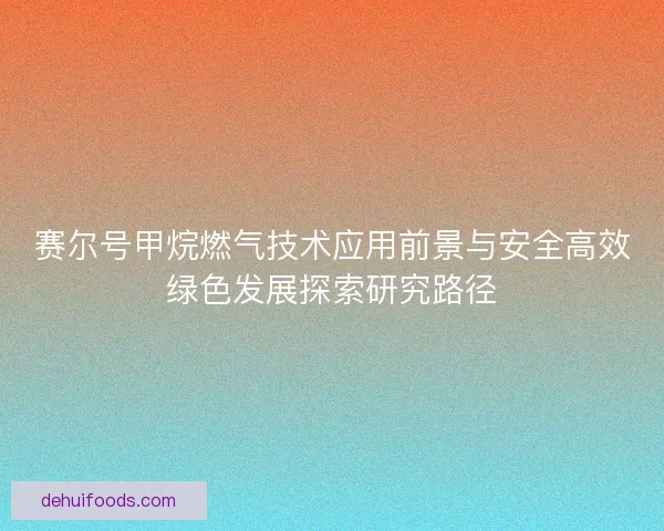 赛尔号甲烷燃气技术应用前景与安全高效绿色发展探索研究路径 赛尔号甲烷燃气技术应用前景与安全高效绿色发展探索研究路径